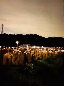 大蕨の棚田