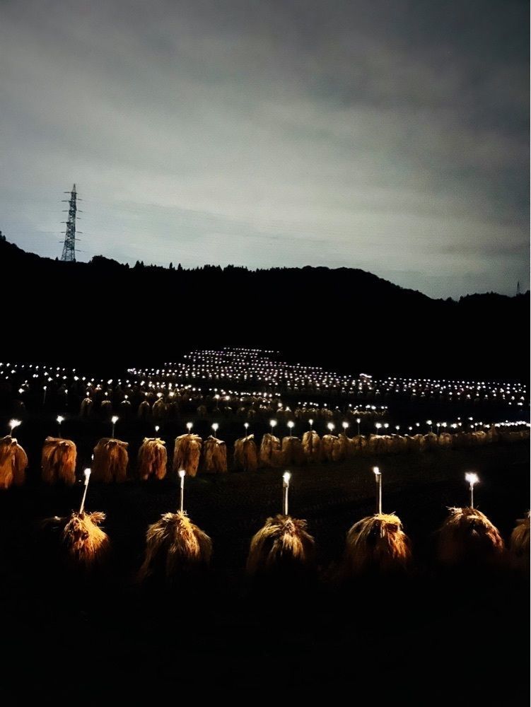 猫なぎ。さんが投稿した大蕨の棚田に関する口コミの画像