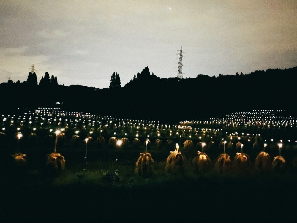 猫なぎ。さんが投稿した大蕨の棚田に関する口コミの画像