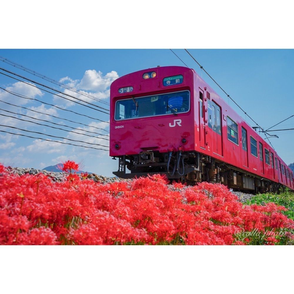urban_garden_243aさんが投稿した新野駅に関する口コミの画像