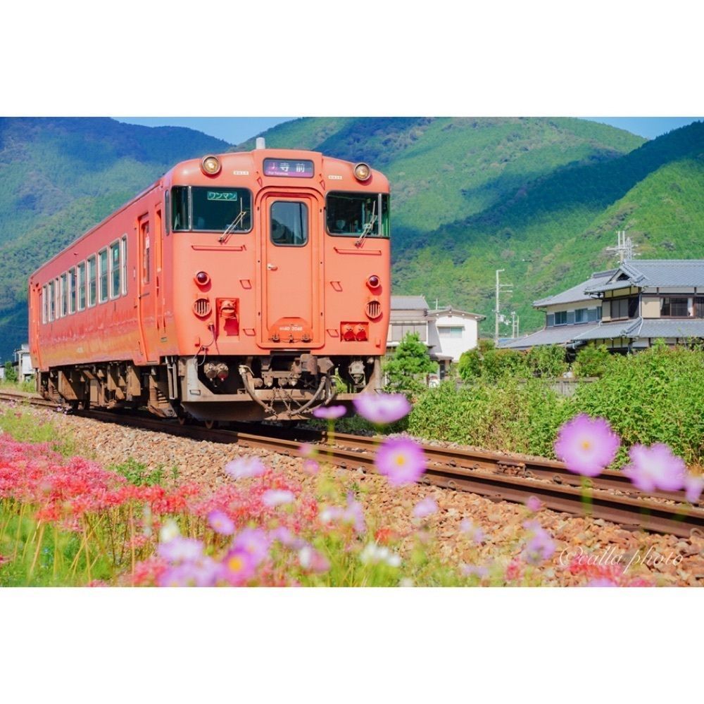urban_garden_243aさんが投稿した新野駅に関する口コミの画像
