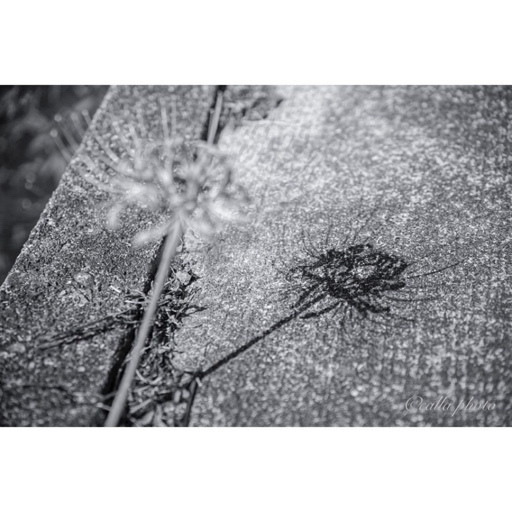 urban_garden_243aさんが投稿した新野駅に関する口コミの画像