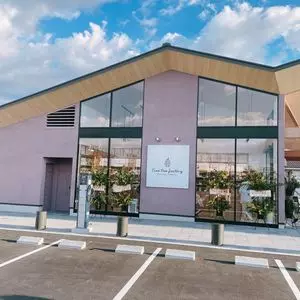 Pine tree factory（パインツリーファクトリー）