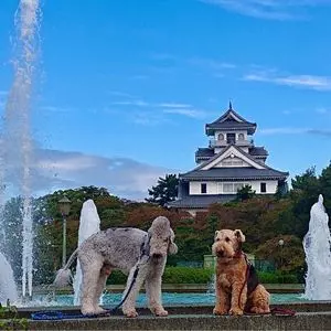 豊公園