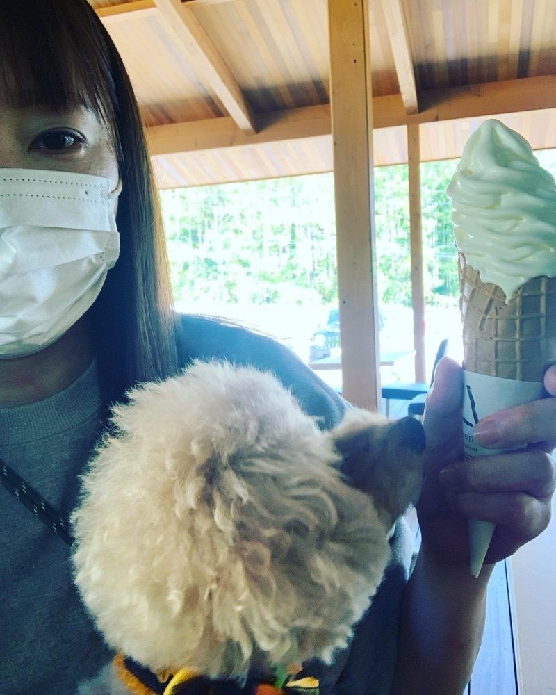 ティンクとハムさんが投稿したChateraise PREMIUM YATSUDOKI TERRACE 小海（シャトレーゼプレミアムヤツドキ）に関する口コミの画像