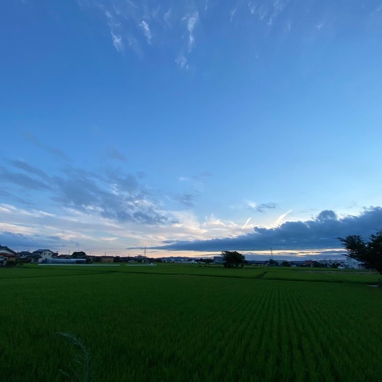 あきさんが投稿したホテルグリーン安田に関する口コミの画像