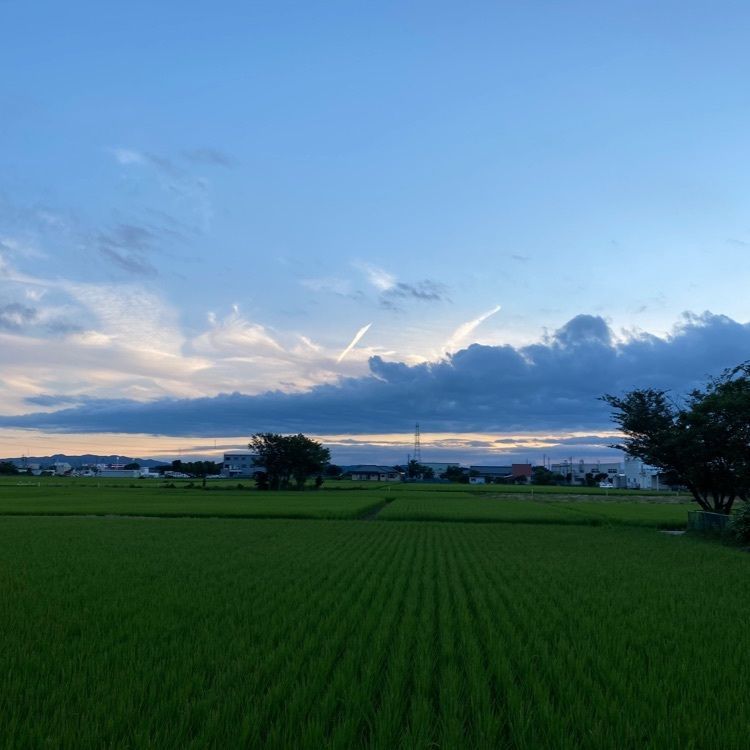 あきさんが投稿したホテルグリーン安田に関する口コミの画像