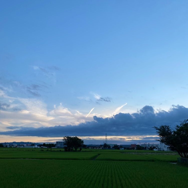 あきさんが投稿したホテルグリーン安田に関する口コミの画像