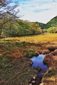 大沼公園