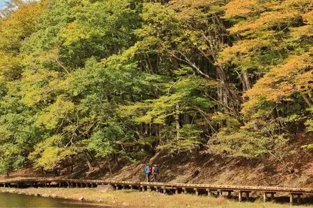 大沼公園 3枚目