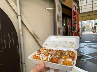 キャベツハウス