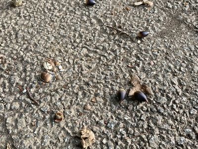 かぶと塚公園 5枚目