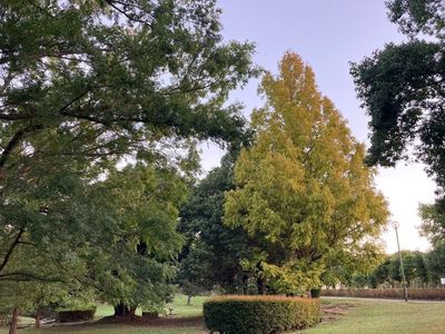 かぶと塚公園 6枚目
