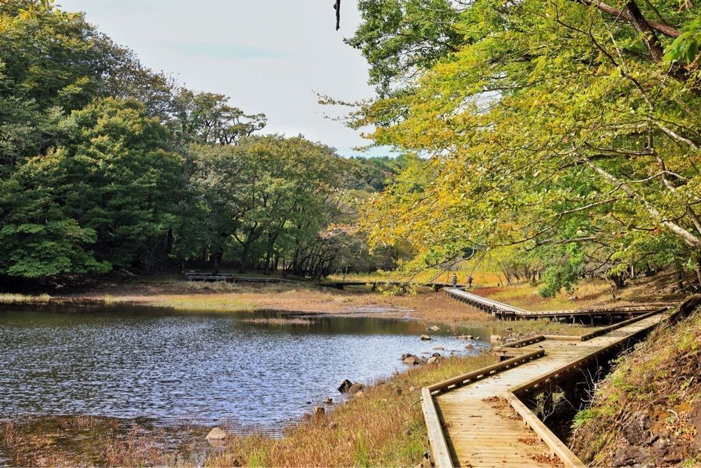 まさまさ　さまさんが投稿した大沼公園に関する口コミの画像