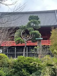 寛永寺清水観音堂