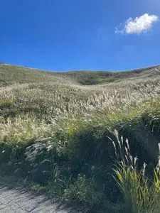 塩塚高原