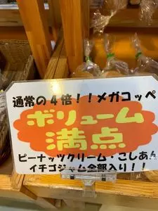 道の駅 サシバの里いちかい