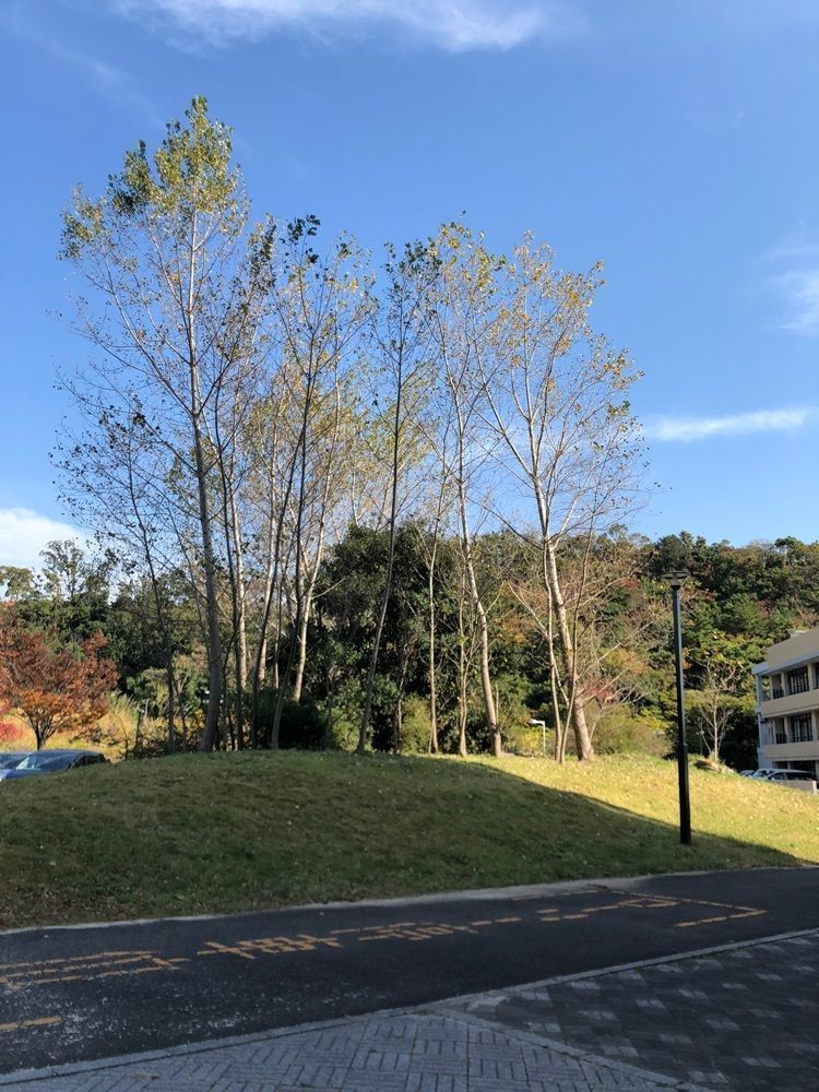 asomogさんが投稿した和歌山大学 第一食堂に関する口コミの画像