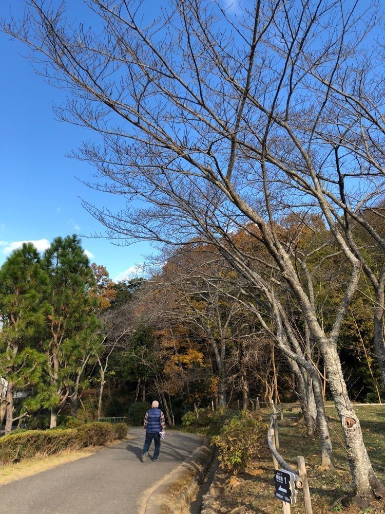 asomogさんが投稿した紀伊風土記の丘に関する口コミの画像