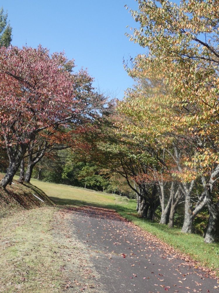 ＪＵNさんが投稿した松川渓谷（岩手県八幡平市）に関する口コミの画像