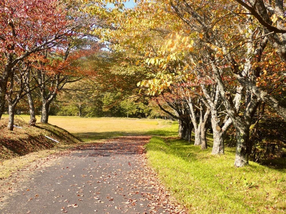 ＪＵNさんが投稿した松川渓谷（岩手県八幡平市）に関する口コミの画像