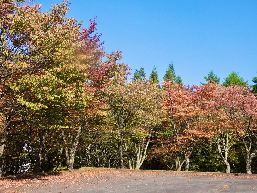 ＪＵNさんが投稿した松川渓谷（岩手県八幡平市）に関する口コミの画像