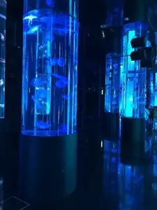 DMMかりゆし水族館 3枚目