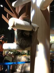 DMMかりゆし水族館 2枚目