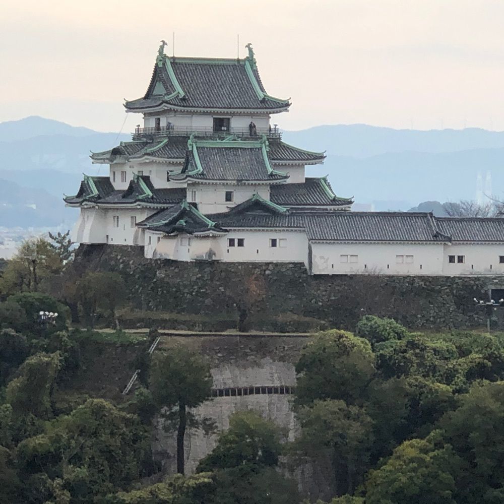 asomogさんが投稿した十四階農園に関する口コミの画像