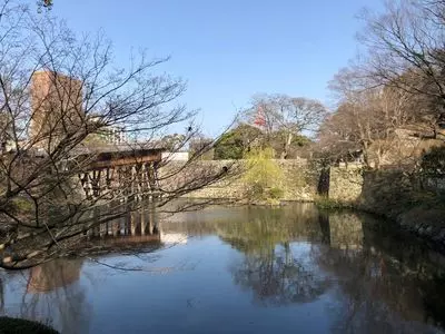 紅松庵（茶室紅松庵（チャシツコウショウアン））