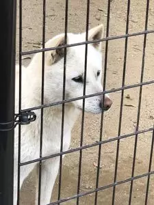 和歌山城公園動物園