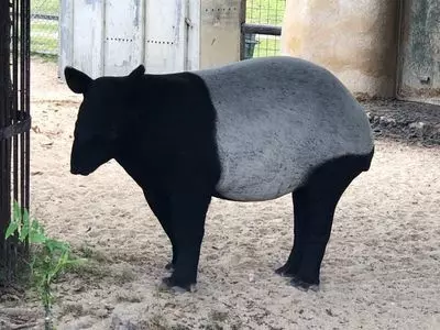 アドベンチャーワールド