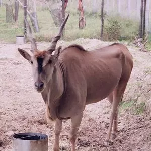 アドベンチャーワールド