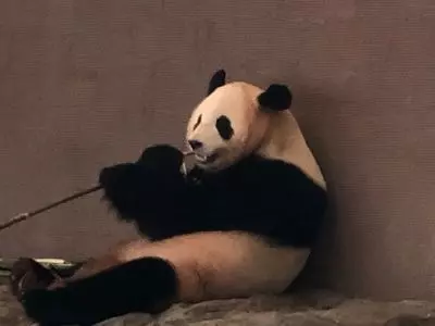 アドベンチャーワールド