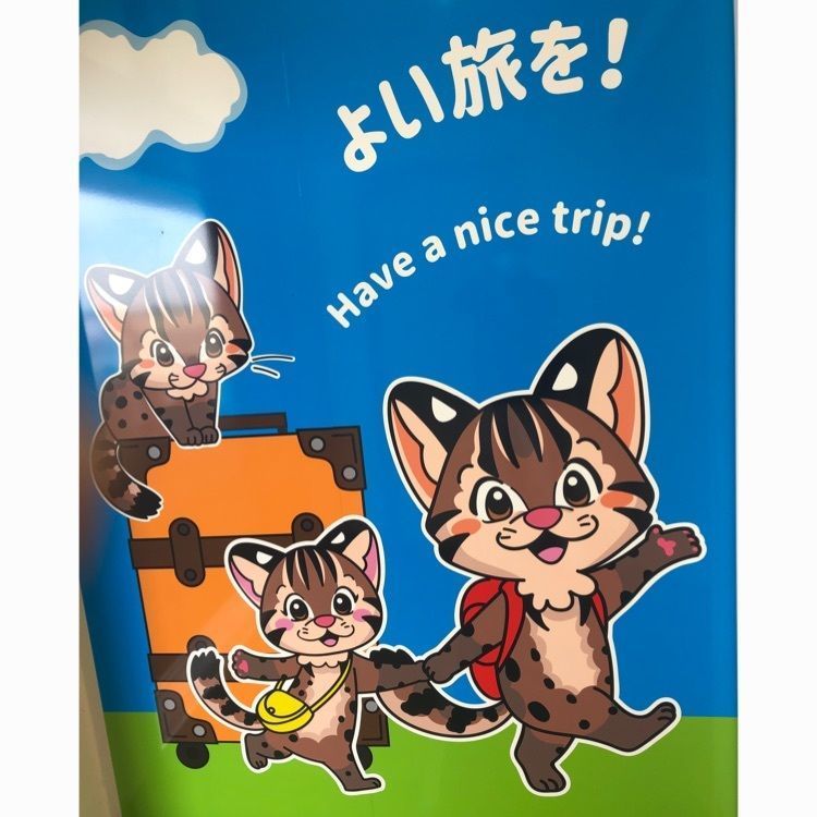 パウロさんが投稿した東横イン対馬厳原に関する口コミの画像