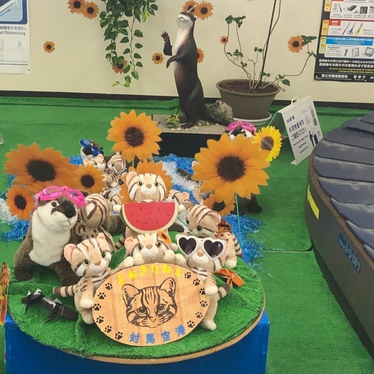 パウロさんが投稿した東横イン対馬厳原に関する口コミの画像