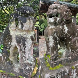 瀧尾神社 6枚目