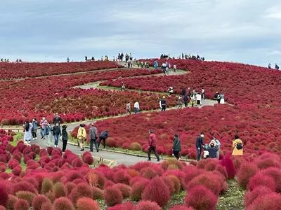 五浦ハム 国営ひたち海浜公園