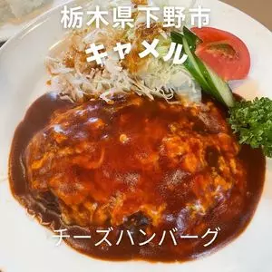 キャメル