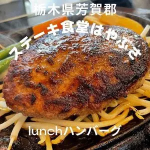 はやぶさ