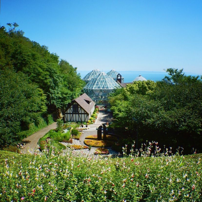 makの画像