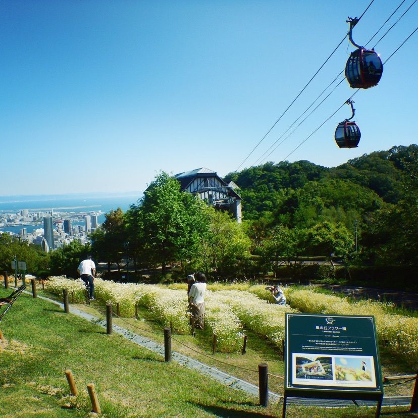 makの画像