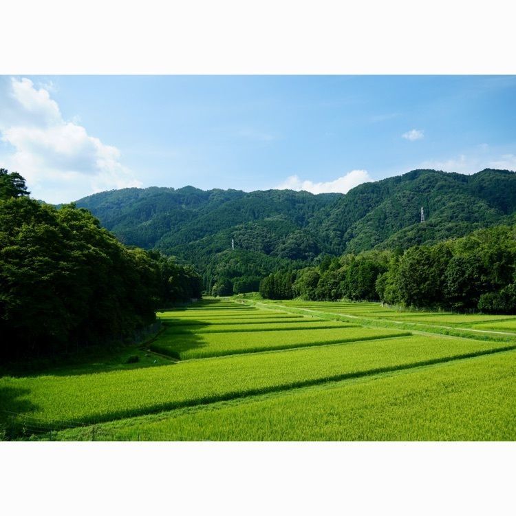 m_keijiさんが投稿した三国越林道に関する口コミの画像