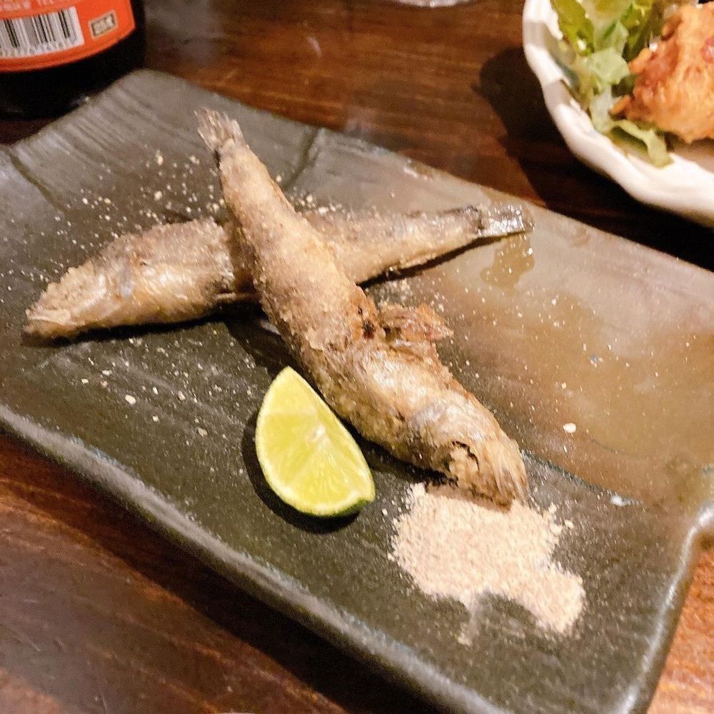 おでかけ探検部さんが投稿した居酒屋 マツカメ（MATSUKAME）に関する口コミの画像