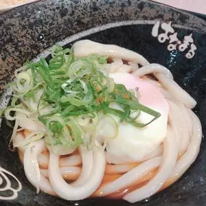 はなまるうどん イオンモール和歌山店
