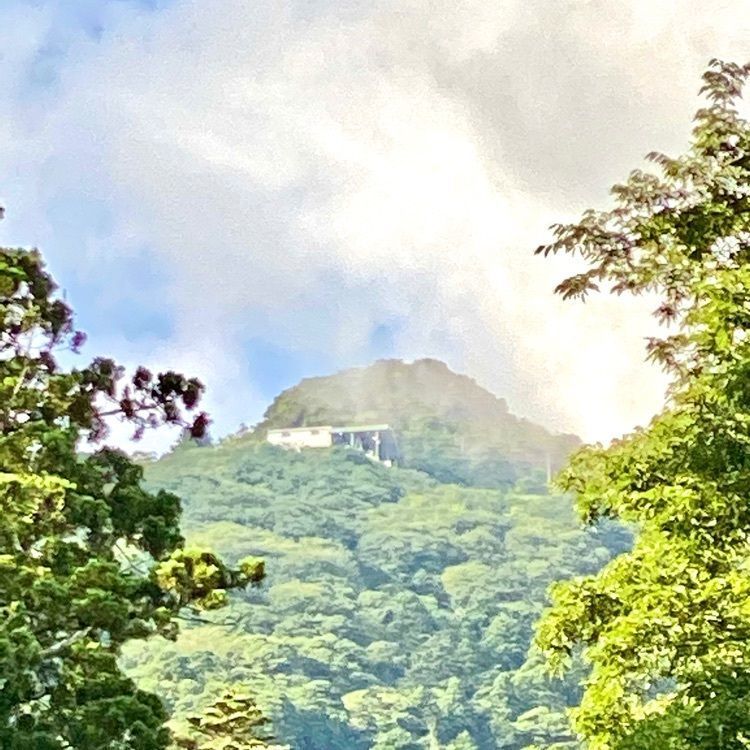 Satoshi.Nさんが投稿した筑波山江戸屋に関する口コミの画像