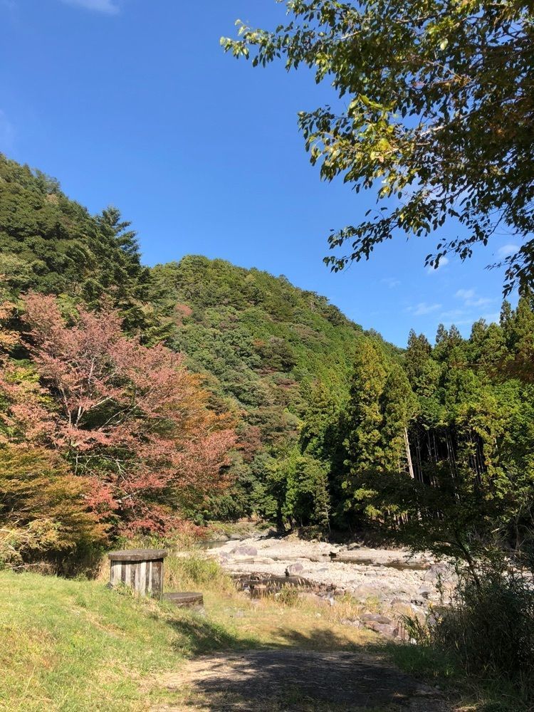 asomogさんが投稿したアイリスパーク奥熊野温泉 女神の湯に関する口コミの画像
