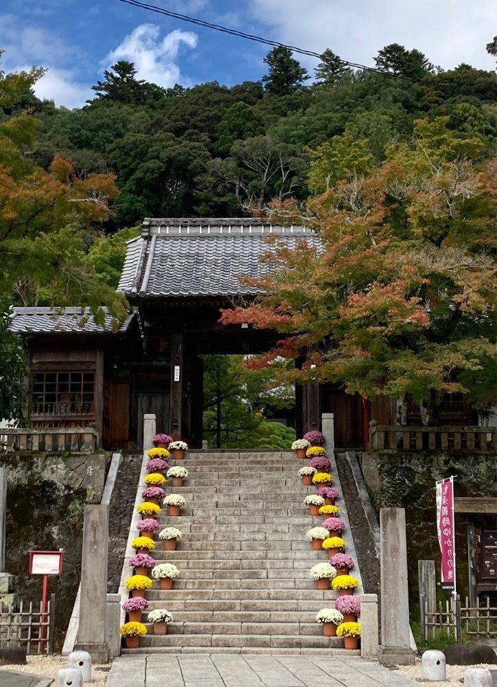 delicious_museum_7212の画像
