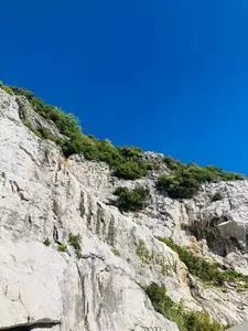 白崎海洋公園　展望台