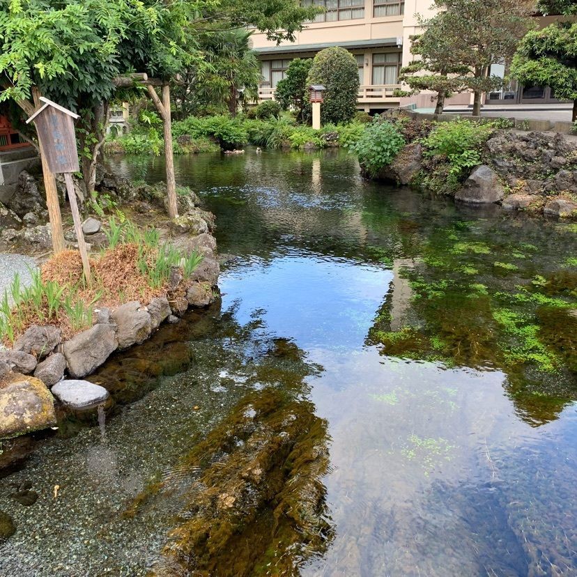 tom_takedaさんが投稿した湧玉池に関する口コミの画像